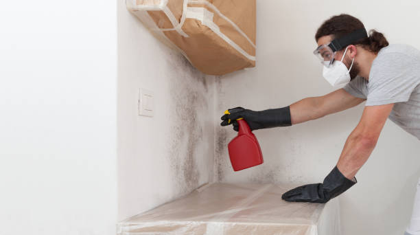 Professional Mold Remediation technician working in Harbert, MI